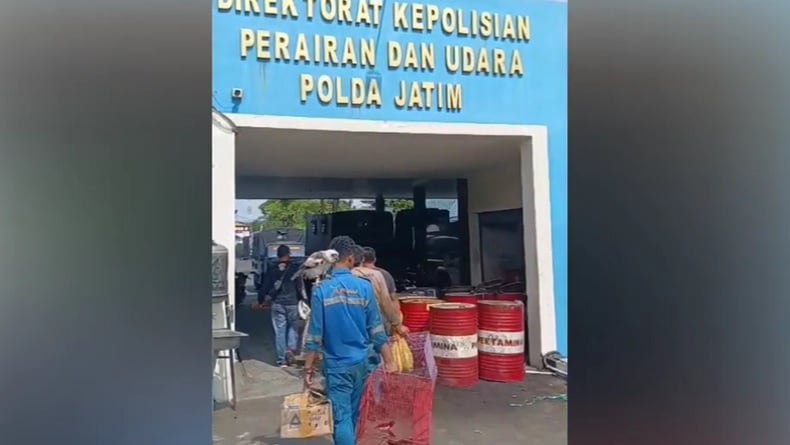 Polisi Ungkap Penyelundupan Hewan Langka dan Anggrek Papua di Pelabuhan Tanjung Perak