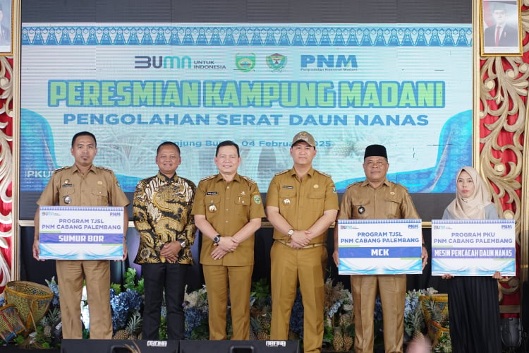 Kampung Madani PNM Bina Usaha Olahan Nanas Warga Desa Tanjung Bunut