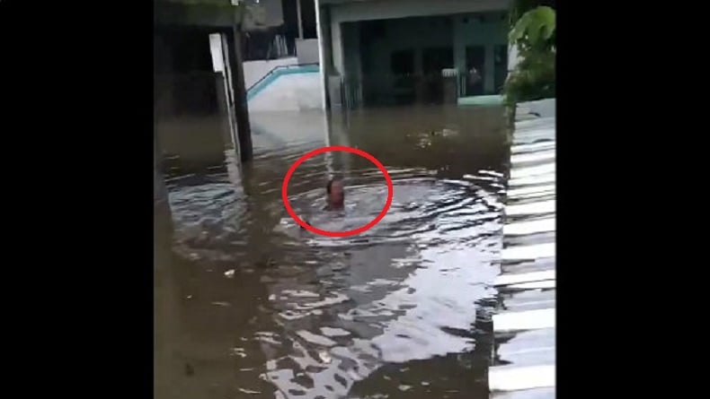 Viral Emak-Emak Terbobos Banjir Setinggi Leher di Makassar demi Ambil Barang Berharga