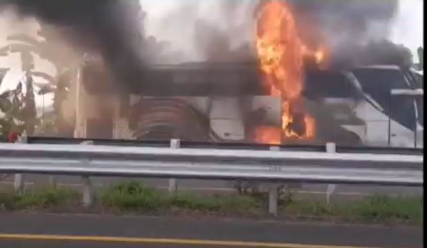 Kronologi Bus Putra Pelangi Terbakar usai Disenggol Hilux di Tol Kualanamu Deliserdang