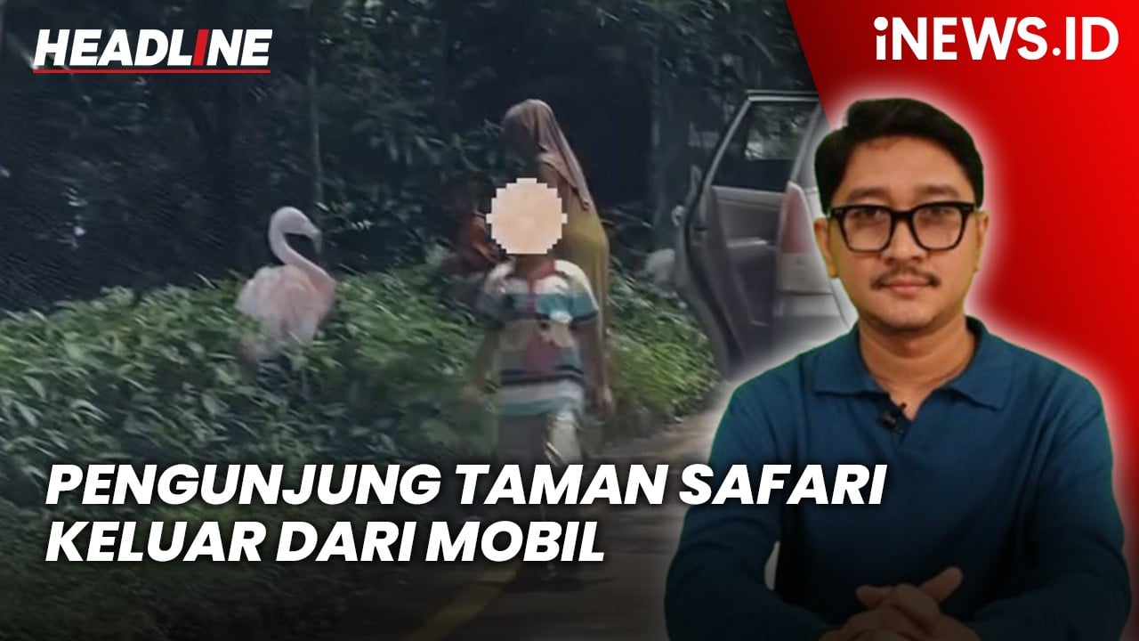 Headline iNEWS.ID: Viral Pengunjung Taman Safari Keluar dari Mobil di Area Hewan, Langsung Di-blacklist