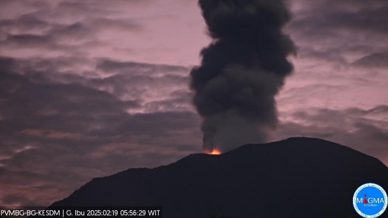 Erupsi Gunung Ibu di Halmahera Barat, Tinggi Kolom Abu Vulkanis Capai 800 Meter