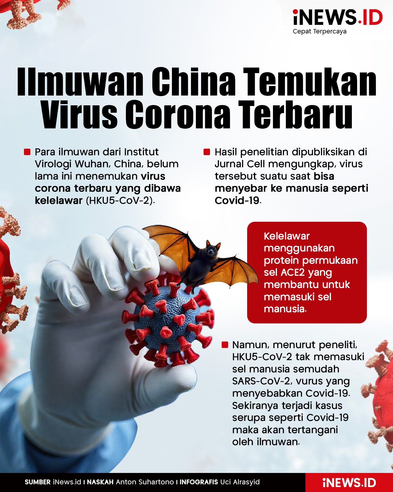 Infografis Ilmuwan Temukan Virus Corona Terbaru