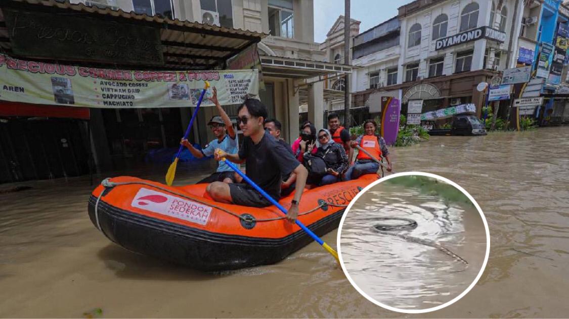 Viral Layanan Gratis Evakuasi Ular dan Reptil bagi Korban Banjir Bekasi dan Sekitarnya