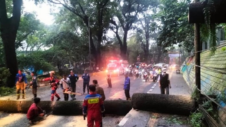 Ngeri! Pemotor Luka Parah Tertimpa Pohon Tumbang di Jalan Siliwangi Bandung