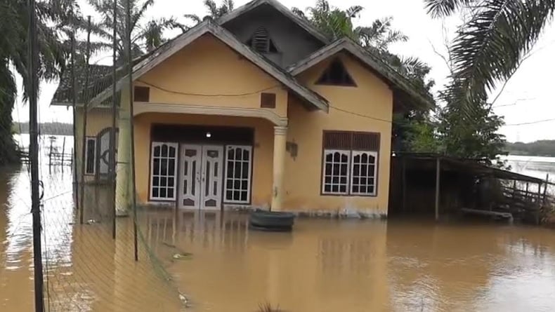 Sungai Batanghari Meluap, Ratusan Hektare Sawah dan Rumah Terendam Banjir