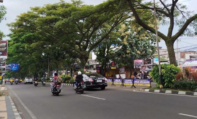 147 Pohon di Jalan Soekarno-Hatta Malang Akan Ditebang demi Proyek Drainase