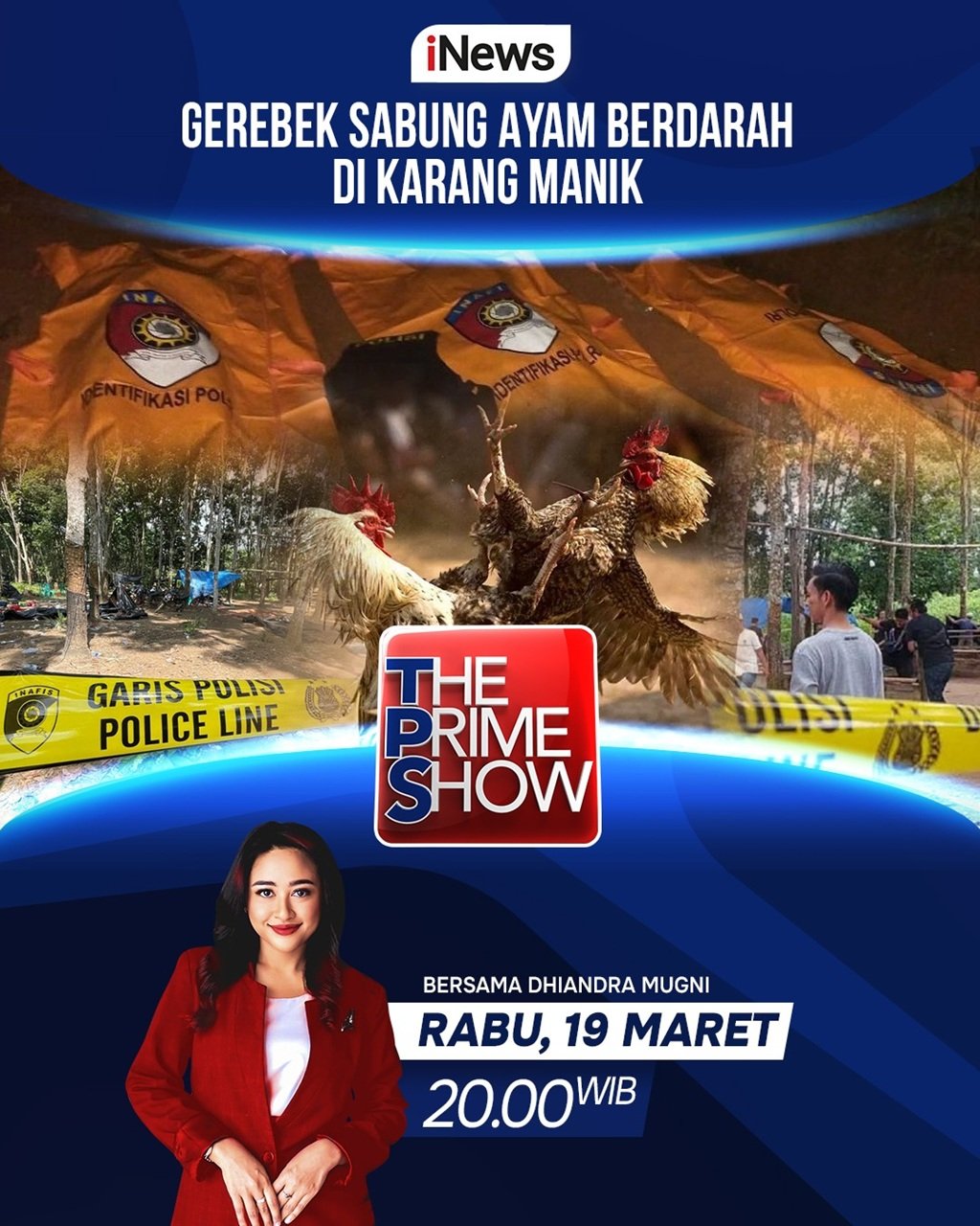 The Prime Show 'Gerebek Sabung Ayam Berdarah di Karang manik' Malam Ini Pukul 20.00 WIB, Hanya di iNews