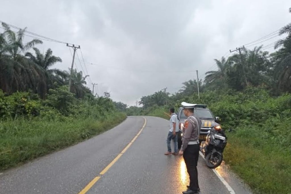 Tragis! Kakak Adik Boncengan Motor Kecelakaan Tabrak Truk di Merangin, 1 Orang Tewas