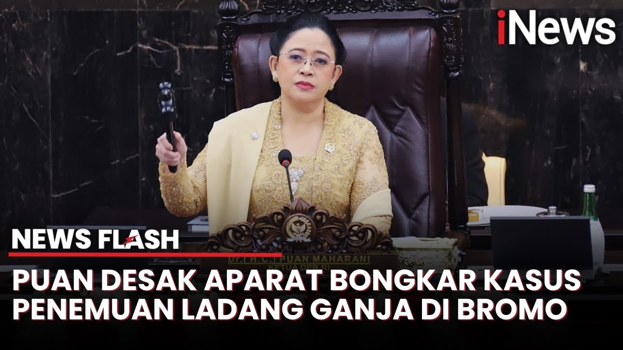 Tanggapi Penemuan Ladang Ganja di Bromo, Puan Maharani Minta Penegak Hukum Selidiki