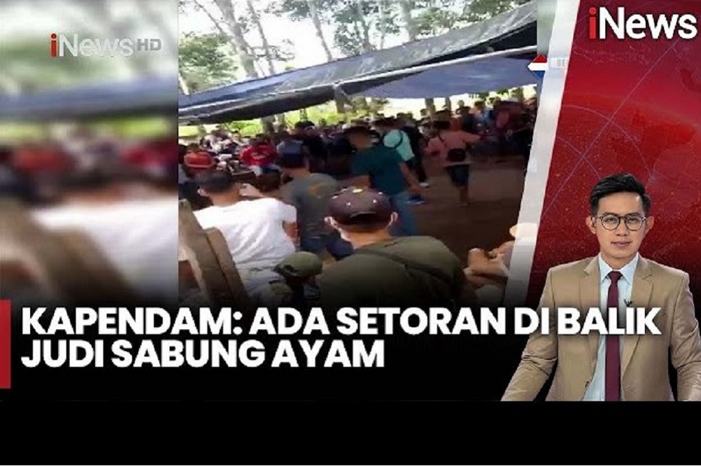 Dugaan Aliran Uang Judi Sabung Ayam ke Oknum TNI-Polri Dibalik 3 Polisi Tewas Ditembak