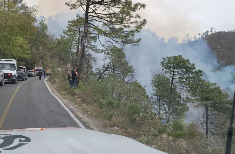 Minibus Masuk Jurang 120 Meter Tewaskan 12 Penumpang, Picu Kebakaran Hutan