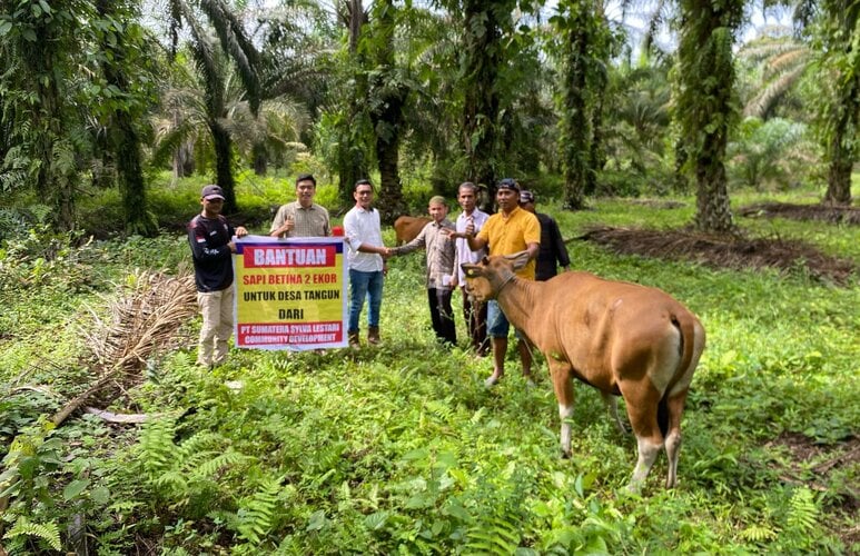 PT SSL Jalankan Program Pemberdayaan Masyarakat, Beri Dua Ekor Sapi Betina