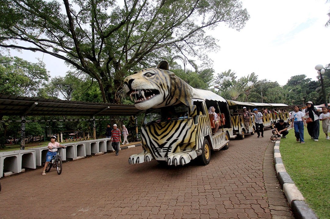 Harga Tiket Masuk Ragunan Terbaru: Liburan Seru Tanpa Bikin Kantong Jebol!