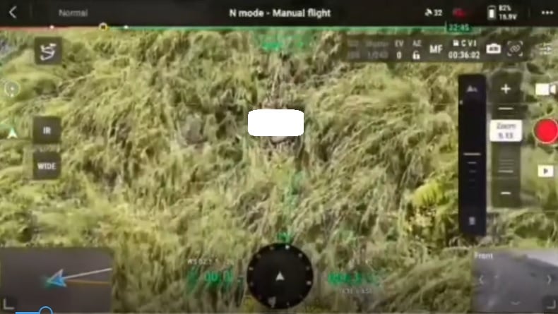 Pendaki Tewas Jatuh di Gunung Saeng Bondowoso Ditemukan di Jurang Sedalam 150 Meter