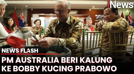 Momen Bobby Kucing Prabowo Dapat Hadiah Lagi, Kini Kalung Syal dari PM Australia