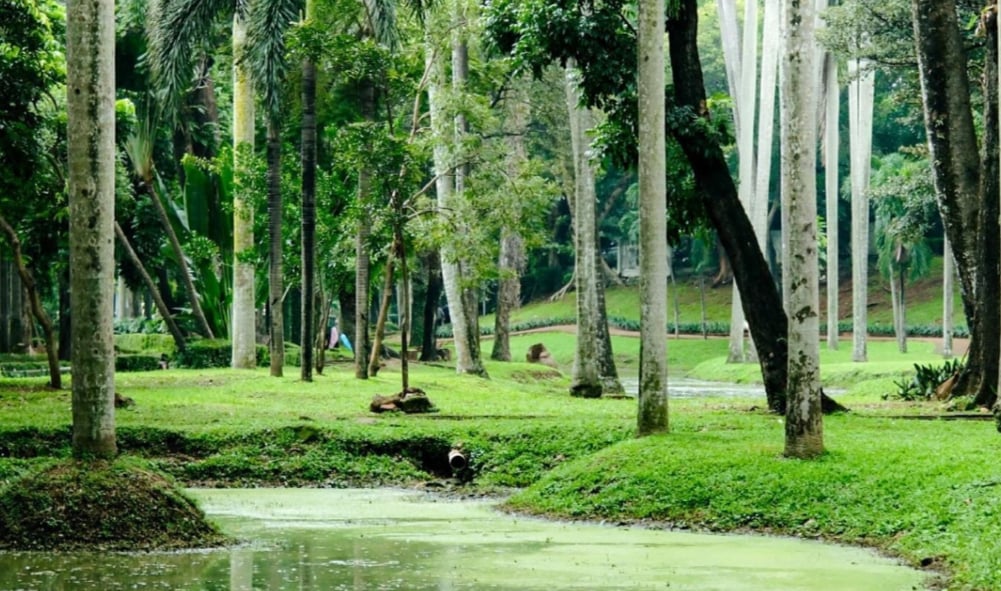 5 Taman di Jakarta Beroperasi 24 Jam, Ini Daftarnya