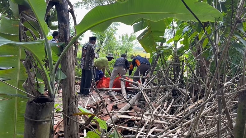 Pria Sebatang Kara di Tuban Ditemukan Tewas Tertimpa Reruntuhan Gubuk, Kondisi Membusuk