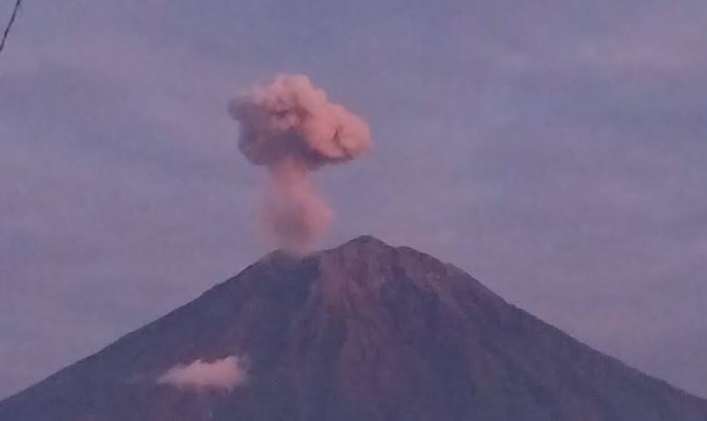 Gunung Semeru Erupsi 4 Kali Pagi Ini, PVMBG Minta Warga Jauhi Besuk Kobokan 