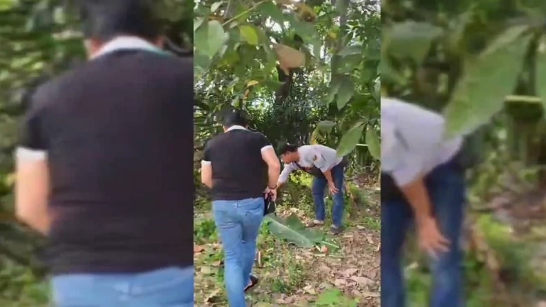Wanita Ditemukan Tewas di Kebun Karet Lampung Diduga Korban Begal