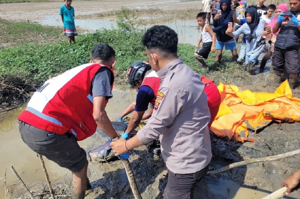Maut saat Cari Ikan, Pemuda Palembang Tewas Tersetrum di Sawah