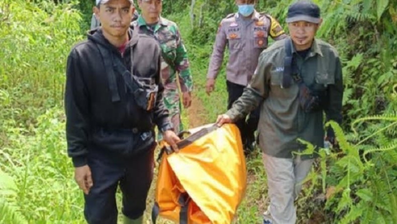 Pria Tewas Mengenaskan Diterkam Harimau di Lampung Barat, Tersisa Bagian Kepala