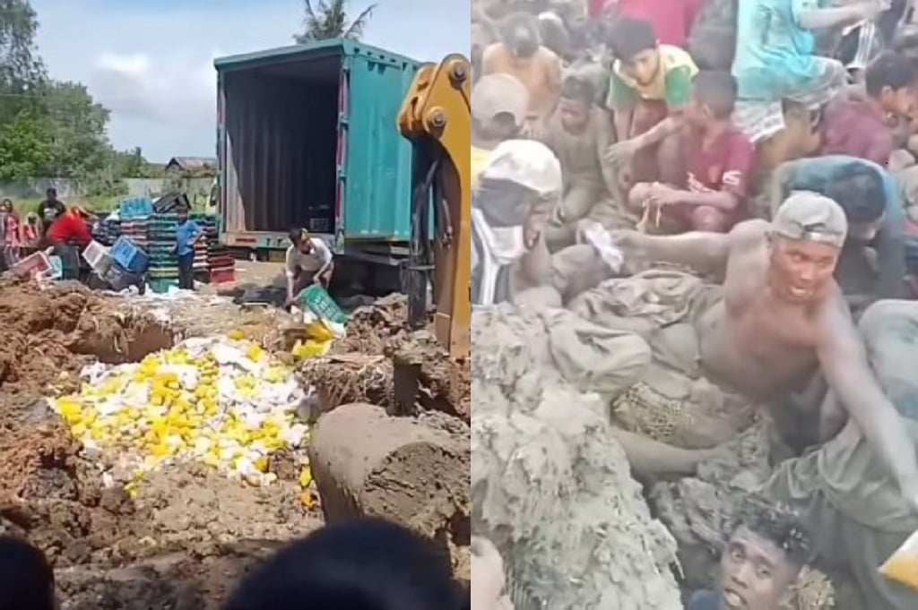 Viral Warga Asahan Gali Mangga Ilegal yang Sudah Dimusnahkan Bea Cukai, Netizen Murka