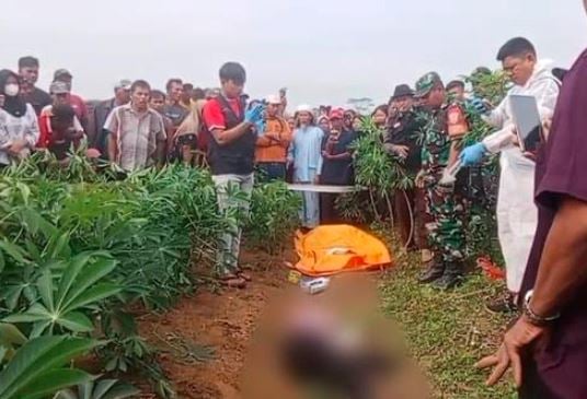 Tulang Bawang Gempar, Jasad Wanita Leher Tersayat Ditemukan di Kebun Singkong