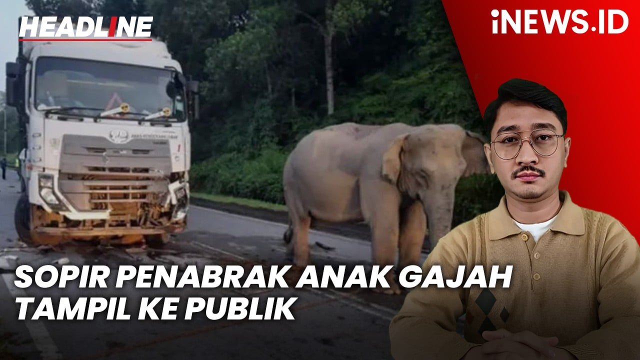 Headline iNEWS.ID: Sopir Penabrak Anak Gajah di Malaysia Tampil ke Publik, Mengaku Dihantui Rasa Bersalah
