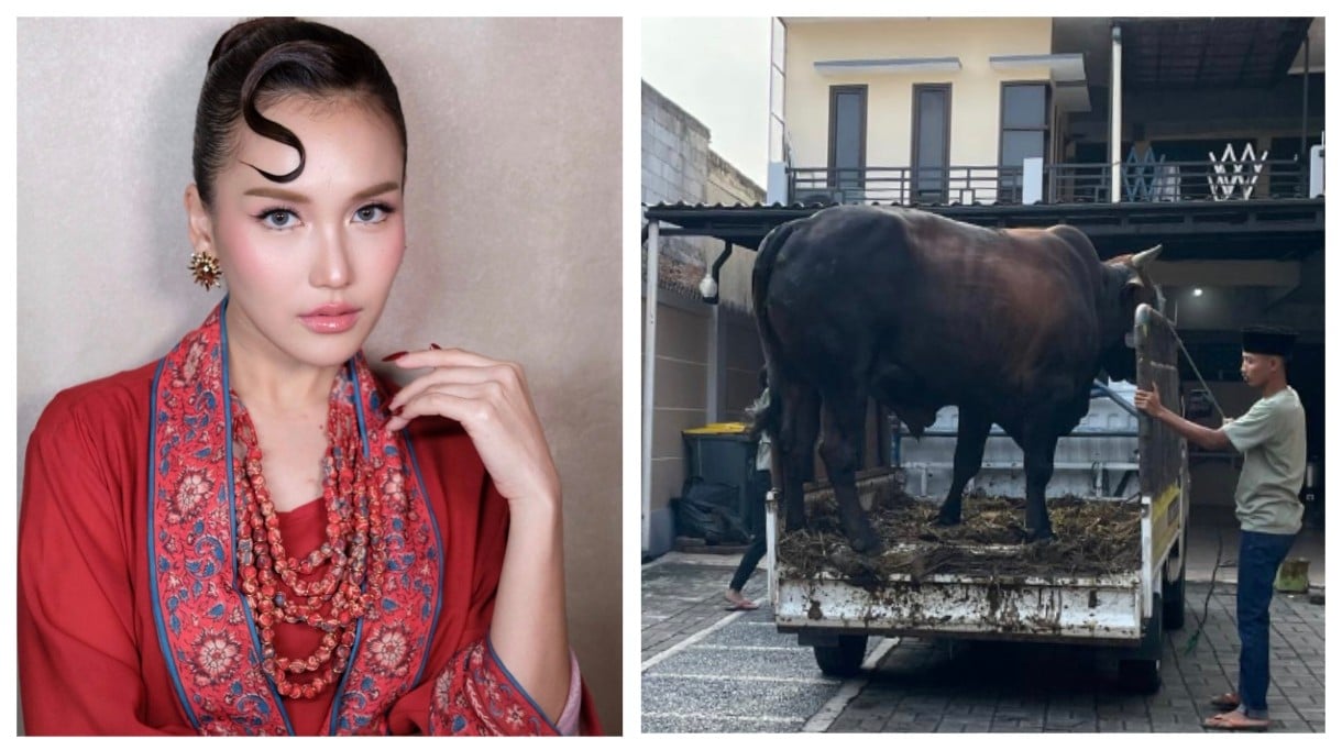 Heboh! Ayu Ting Ting Kurban 3 Sapi Limosin, Ayah Ojak: Alhamdulillah Masih Dikasih Rezeki