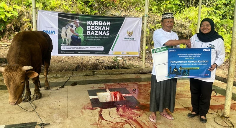 Kolaborasi PNM dan BAZNAS Salurkan Hewan Kurban untuk Masyarakat 3T