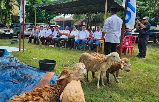 Rayakan Idul Adha, Partai Perindo Sembelih 7 Ekor Hewan Kurban di Medan