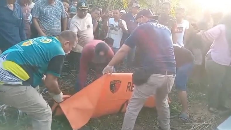 Penjaga Kebun Sawit di Labusel Ditemukan Tewas, Luka Tusuk di Dada dan Pukulan di Kepala