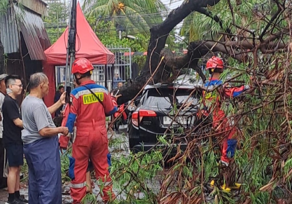 Diterjang Angin Kencang, 2 Pohon Tumbang Rusak Mobil dan Rumah di Jakarta Barat