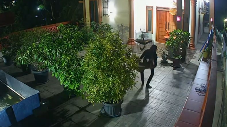 Beraksi seperti Ninja, Maling Burung Murai Milik Ketua Partai di Bengkulu Terekam CCTV