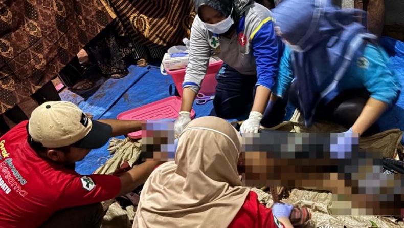 Tragis! Nenek Tewas Mengenaskan Diserang Beruang di Kebun Kopi Way Kanan Lampung