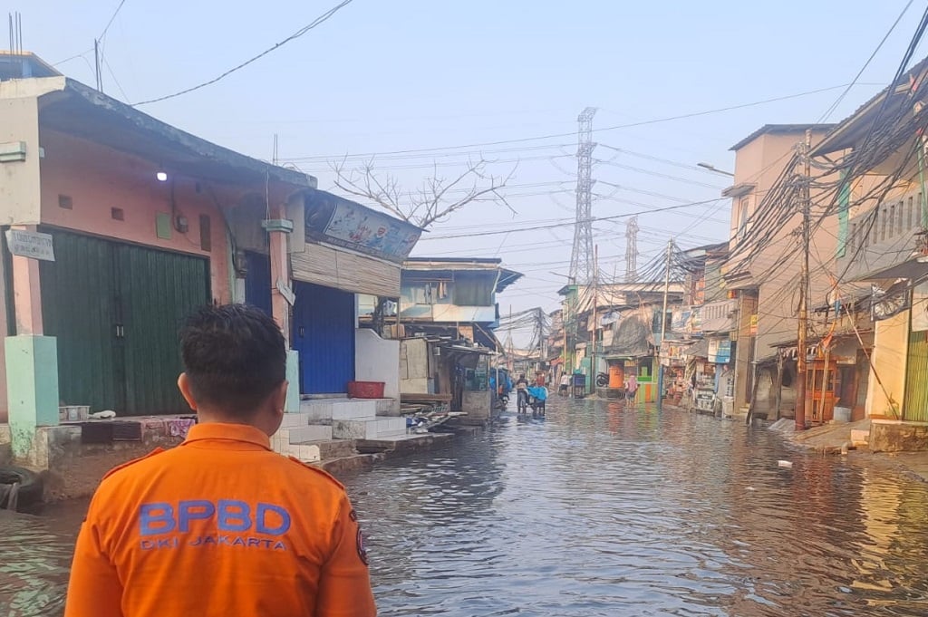 Banjir Rob di Jakarta Utara, 1 RT di Pluit Masih Terendam
