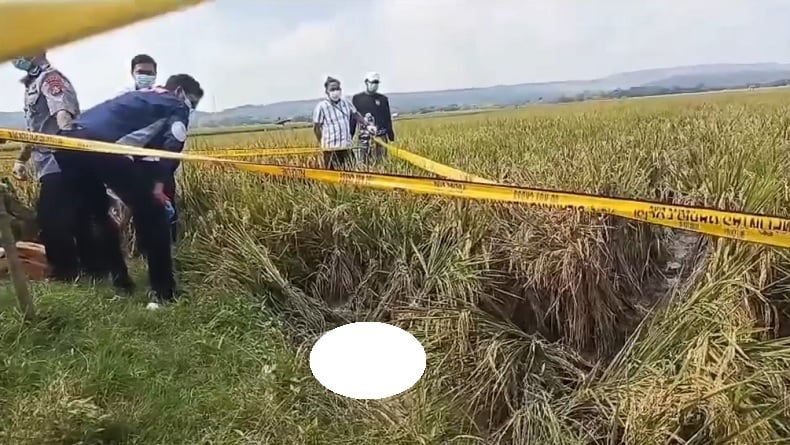 Terungkap, Wanita Ditemukan Tewas di Sawah Tuban Ternyata Dibunuh Pacar