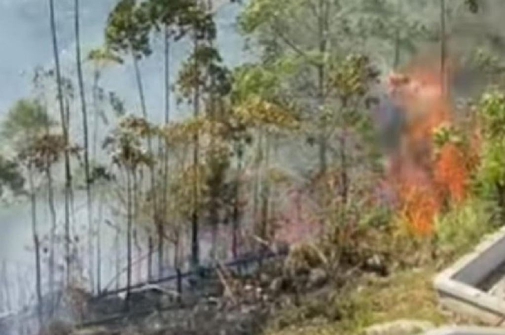 Karhutla Landa Kawasan Wisata Menara Pandang Tele Samosir, 50 Hektare Terbakar