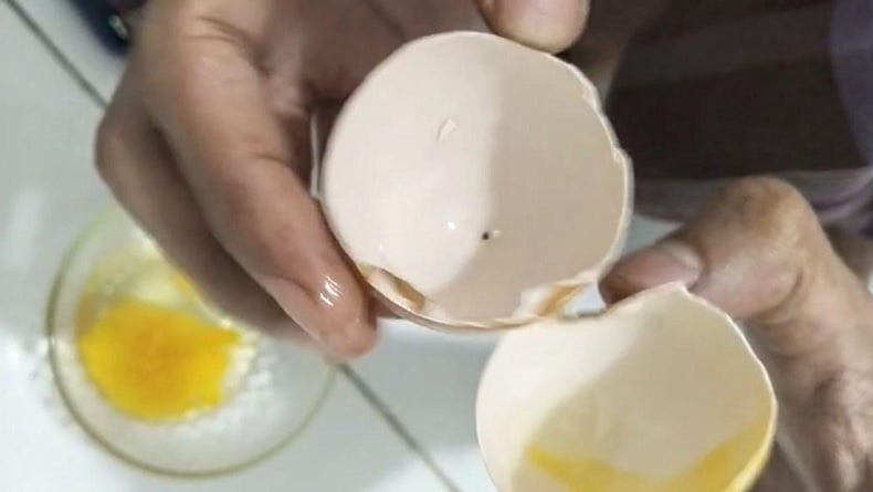 Warga Kolaka Utara Dikejutkan Temuan Telur Ayam Diduga Palsu, Isinya Kental seperti Jel