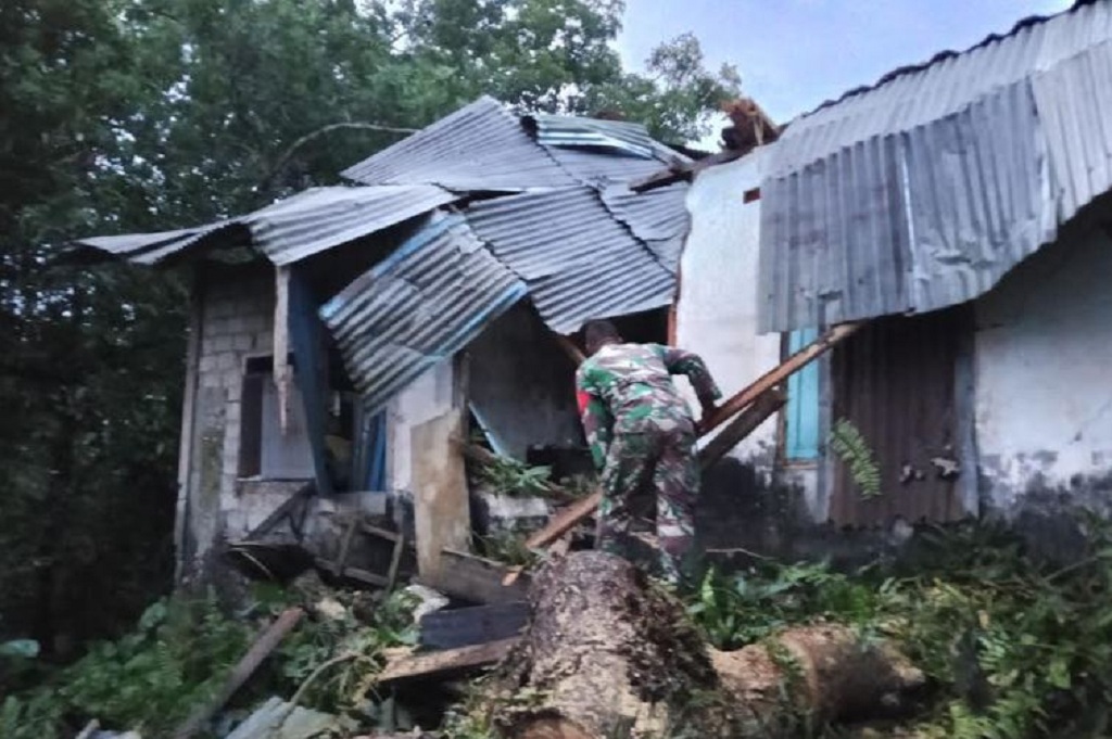 2 Rumah Rusak Tertimpa Pohon Tumbang di Talaud, Prajurit TNI Turun Tangan Bantu Warga