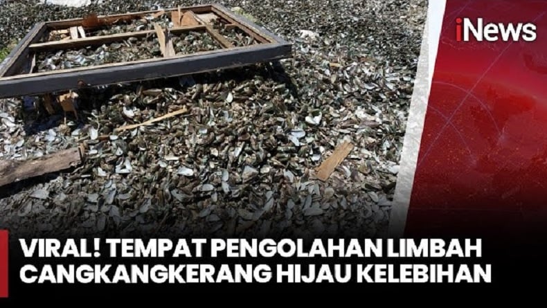 Tumpukan Limbah Cangkang Kerang Hijau di Cilincing Mengkhawatirkan