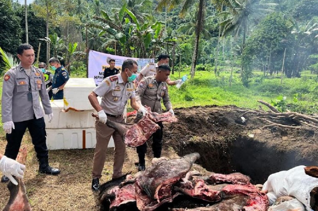 Karantina Sulut Musnahkan 1 Ton Daging Celeng dan 700 Produk Impor Ilegal, Ini Alasannya!