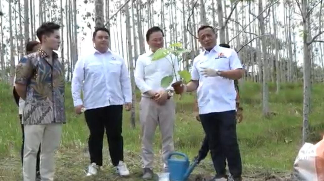 Tanam Pohon Paulownia di Sarawak Malaysia, Andi Yuslim Patawari Ajak Lestarikan Lingkungan