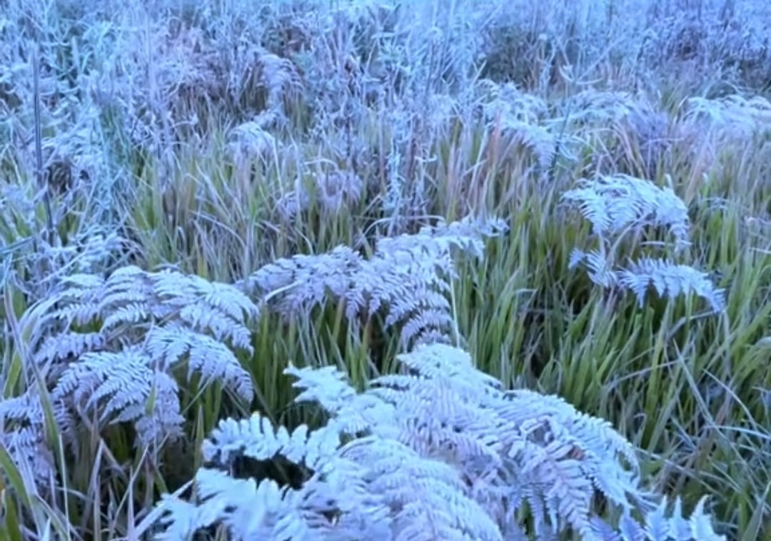 Viral Gunung Bromo 0 Derajat Celcius, Salju Muncul di Mana-Mana