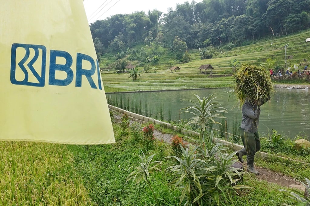 BRI Salurkan KUR Rp83,38 Triliun, Didominasi Sektor Pertanian