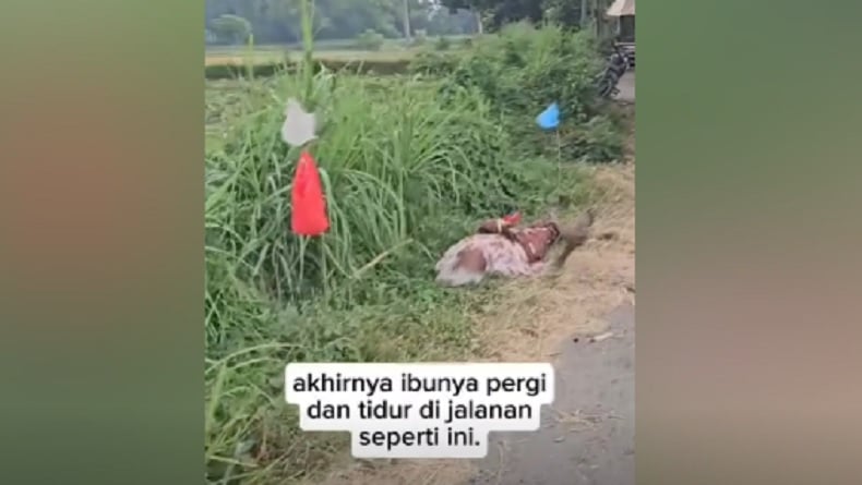 Diusir Anak, Ibu Berusia Lanjut di Probolinggo Telantar hingga Tidur di Pinggir Jalan