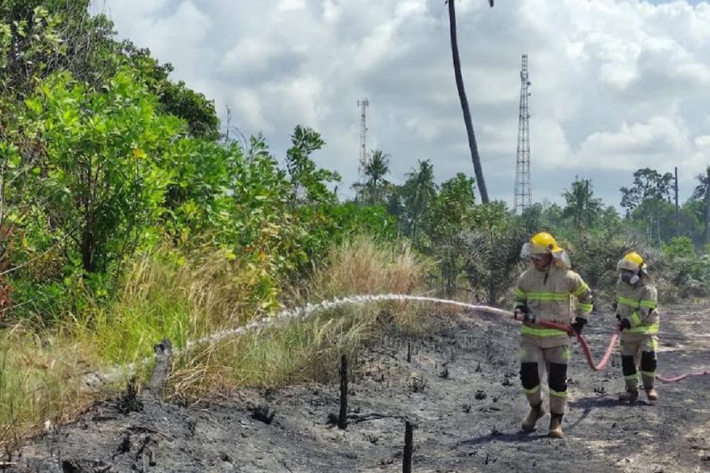Cegah Karhutla Meluas, BNPB Gelar Operasi Modifikasi Cuaca di Riau, Sumbar dan Kalbar
