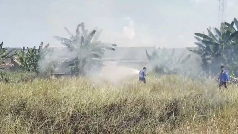 Kebakaran Lahan Kering di Tanjung Balai Dipicu Cuaca Panas Ekstrem, 6 Mobil Damkar Dikerahkan 
