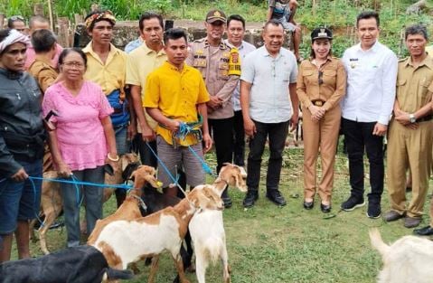 Legislator Perindo Salurkan 88 Kambing untuk Ketahanan Pangan Warga Sumba Barat Daya
